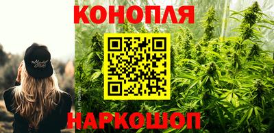 соль ск Славгород
