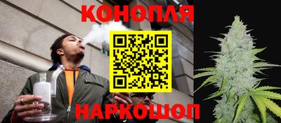 соль ск Славгород