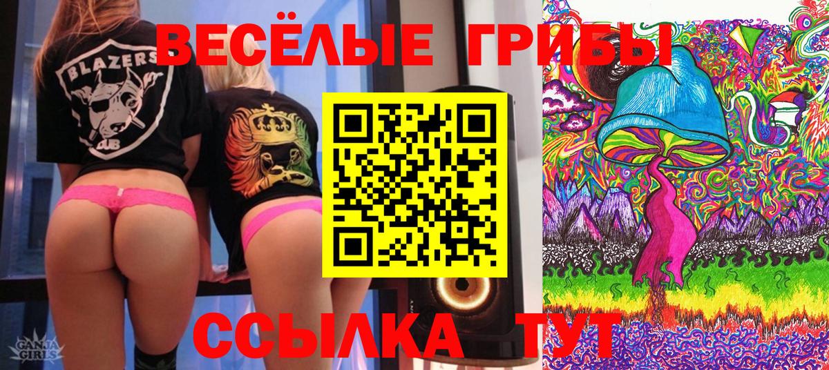 Псилоцибиновые грибы мухоморы  Галлюциногенные грибы GOLDEN TEACHER  Славянск-на-Кубани  Вход с VPN 