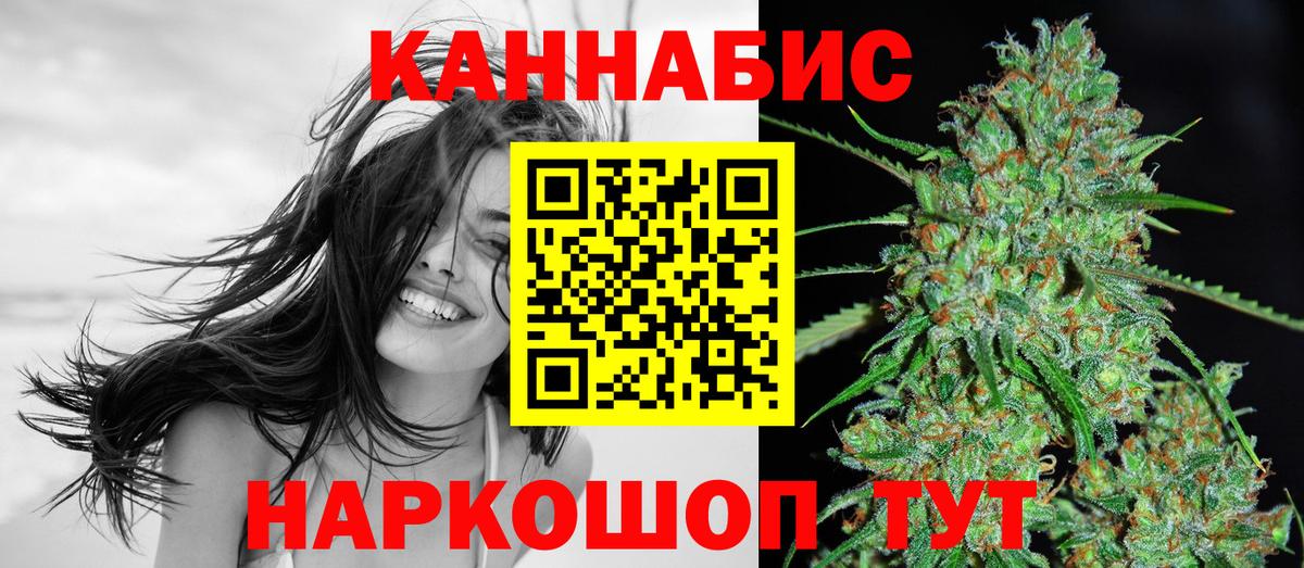 Конопля сатива Славянск-на-Кубани